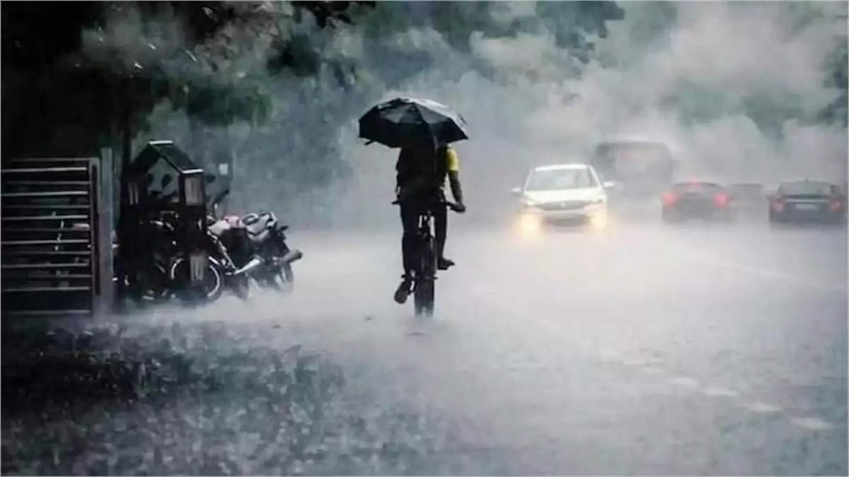 Punjab Monsoon Update 