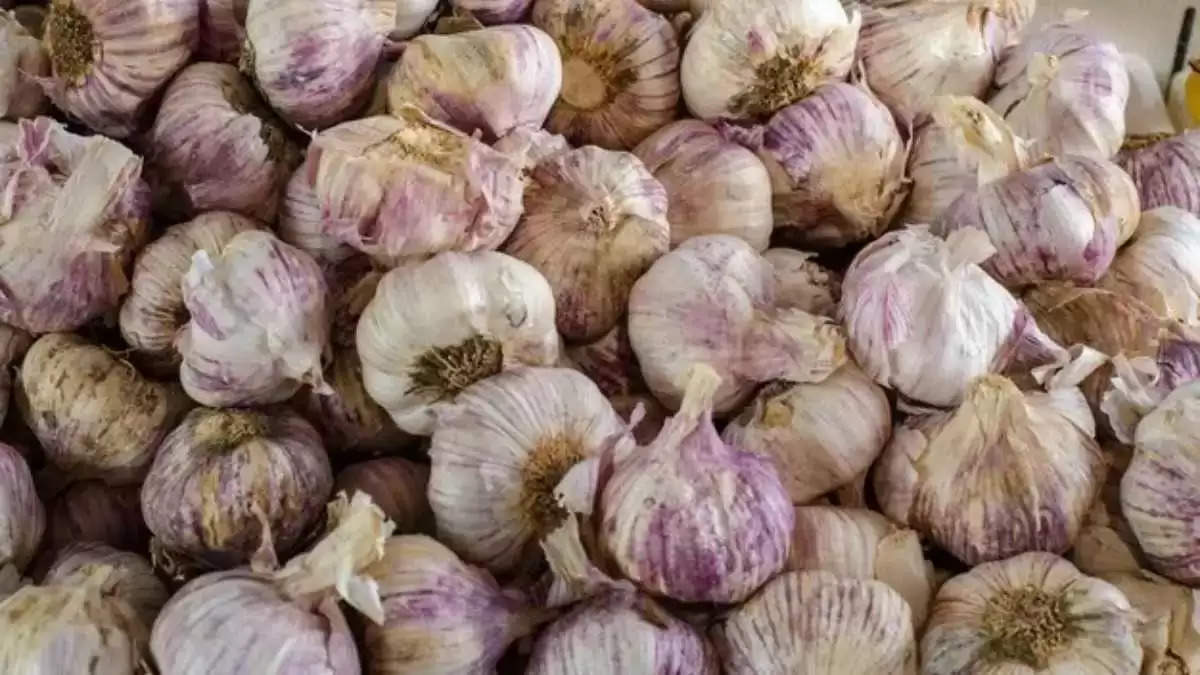 Garlic Benefits 7 oct 2024