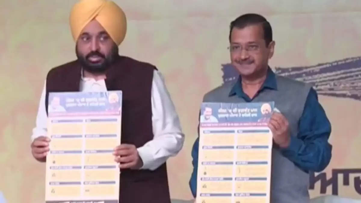 AAP Election Campaign Launch
