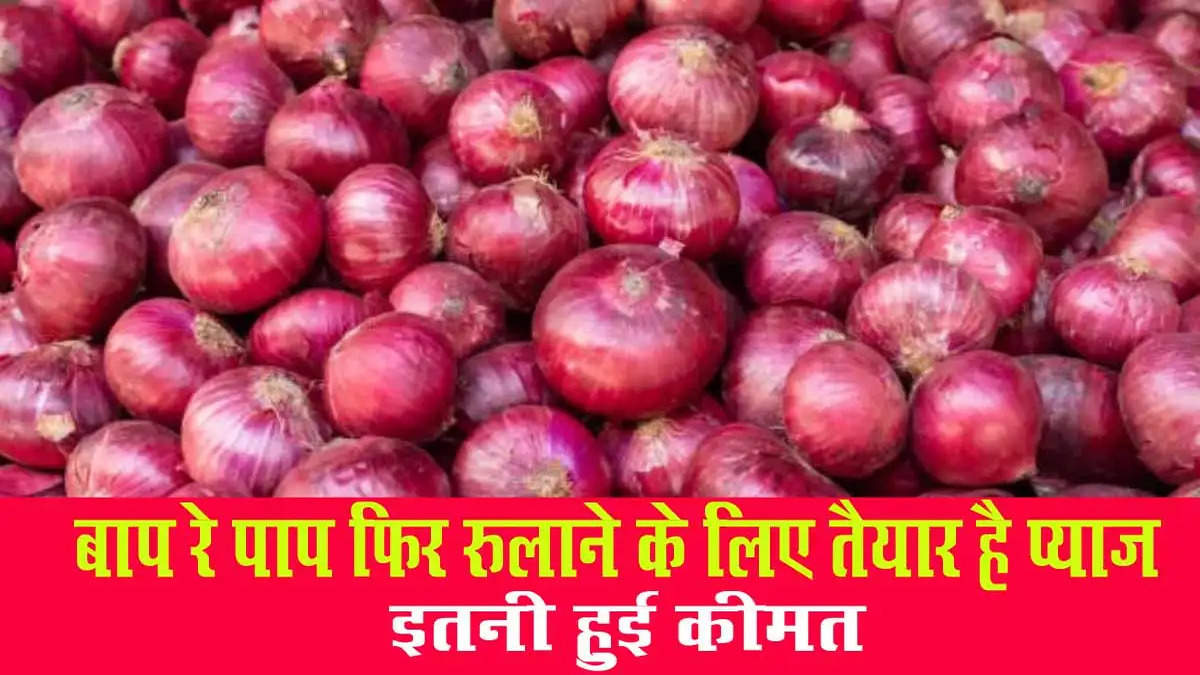 Onion Price